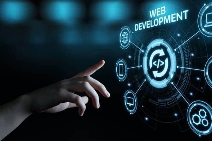 web development company in mysore